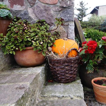 Pokoje Goscinne "Tak Lubisz" Gardna Wielka エクステリア 写真