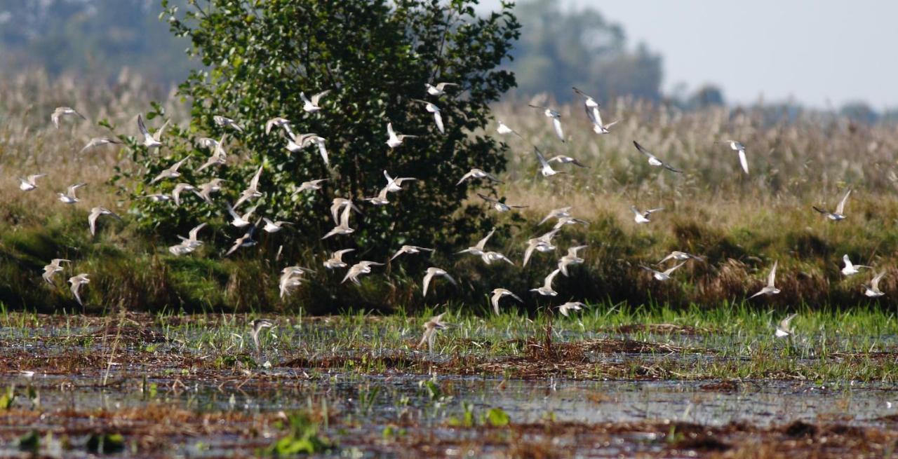 Pokoje Goscinne "Tak Lubisz" Gardna Wielka エクステリア 写真